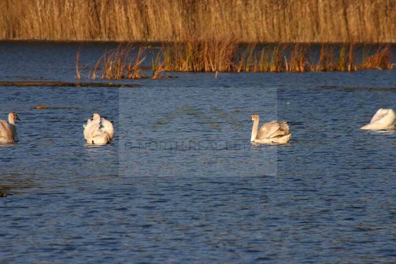 Resedinta exclusivista cu deschidere la Lacul Scrovistea.