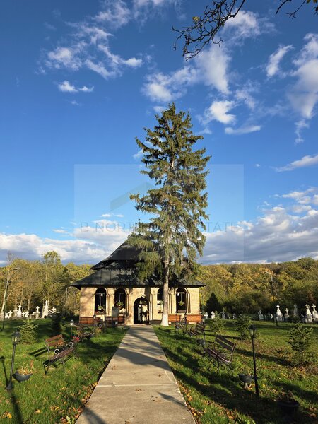 Resedinta exclusivista cu deschidere la Lacul Scrovistea.